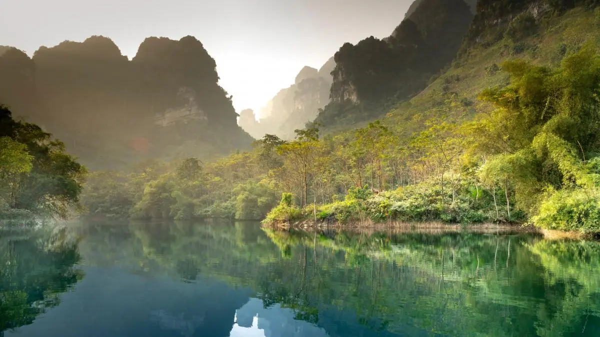 可靠性高效自动化